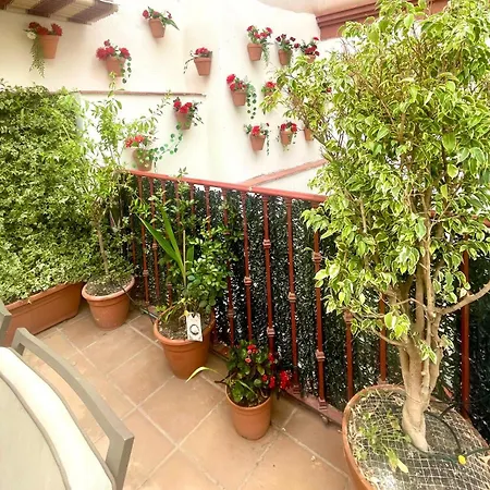 Maravilloso Apartamento Centrico De 70M2, Jardin Propio 40M2 Con Piscina Para Ninos Y Parking Opcional Malaga Exterior photo