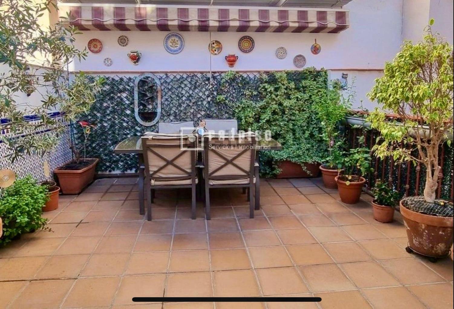 Appartamento Maravilloso Centrico De 70m2, Jardin Propio 40m2 Con Piscina Ninos Y Parking Opcional Málaga