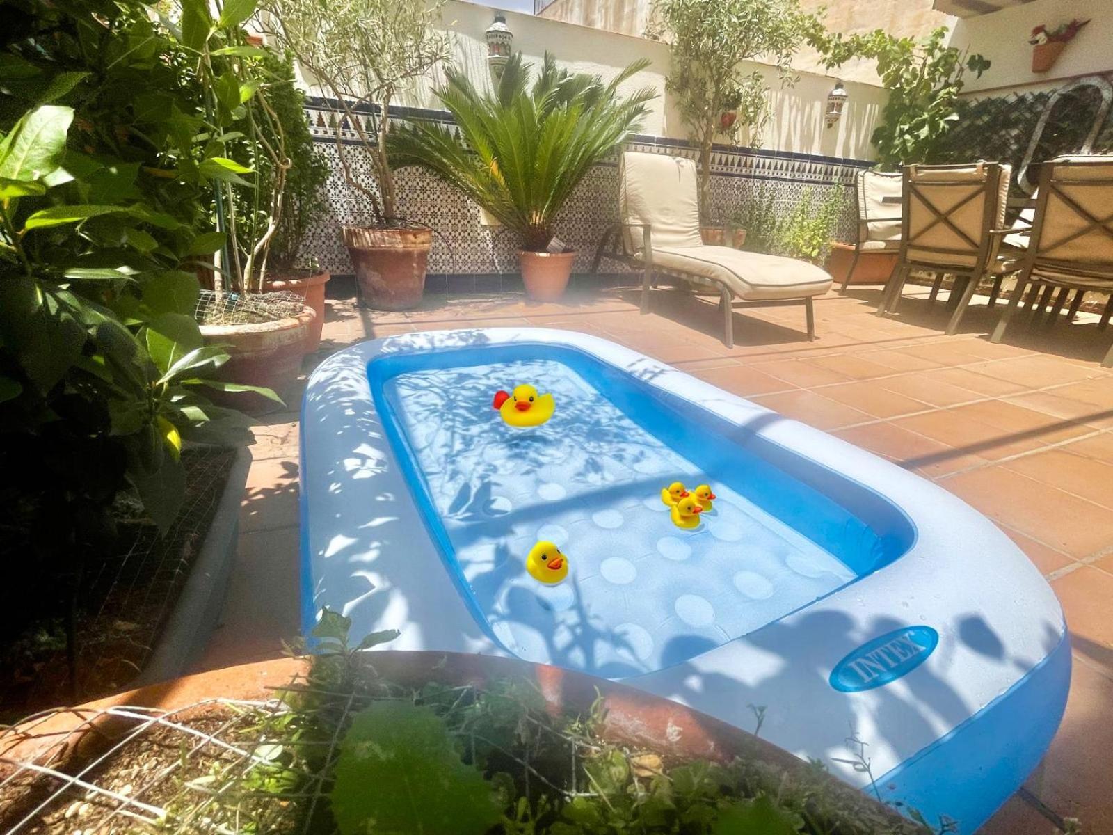 Maravilloso Centrico De 70m2, Jardin Propio 40m2 Con Piscina Ninos Y Parking Opcional Appartement *